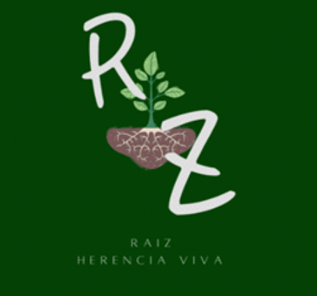 logo raiz